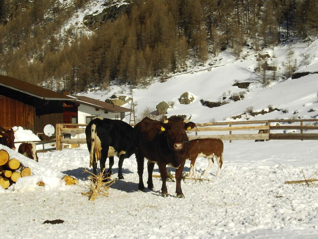 S'Jechlas Solden Bagian luar foto